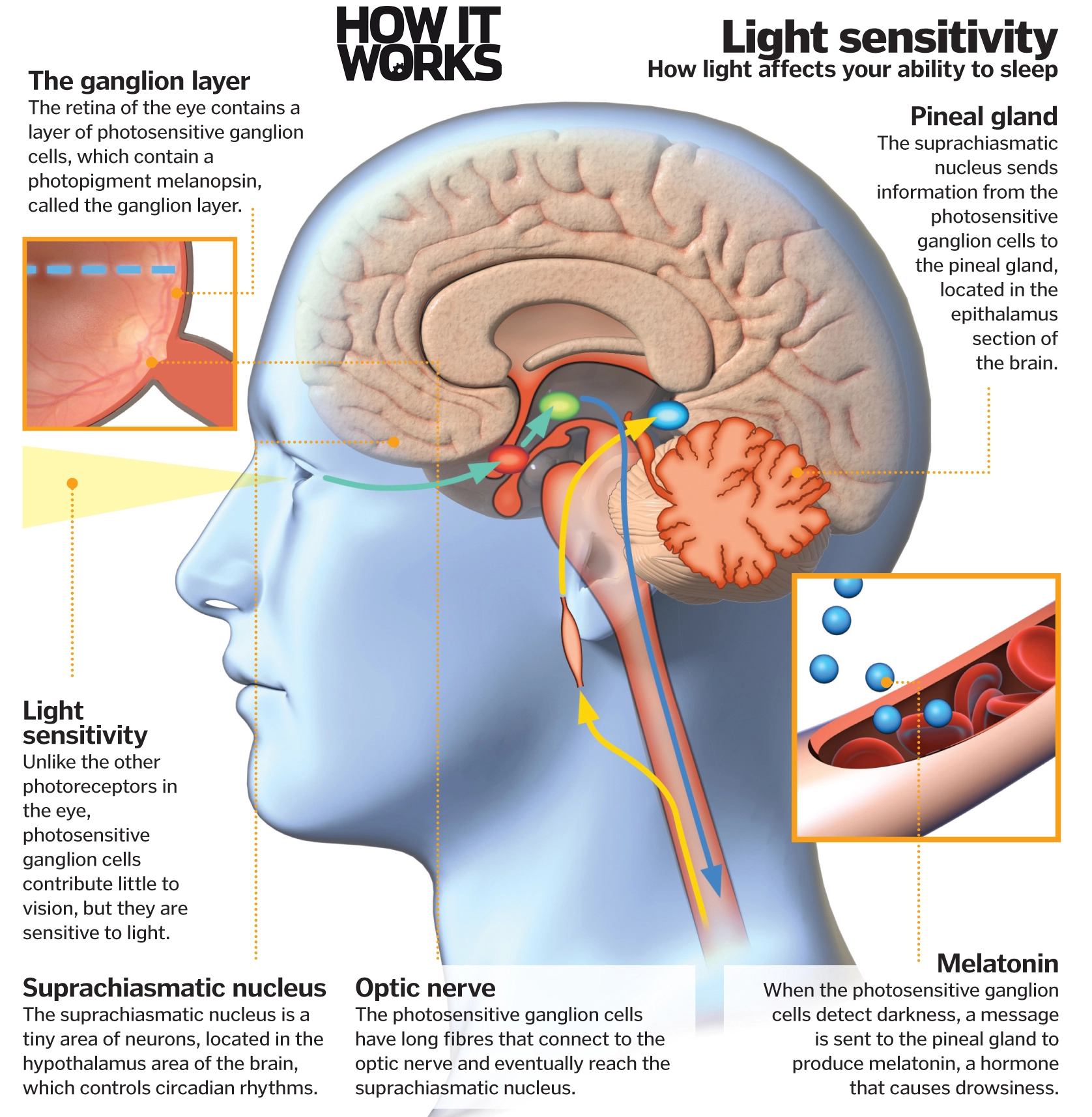 Your child's sleep affects their brain